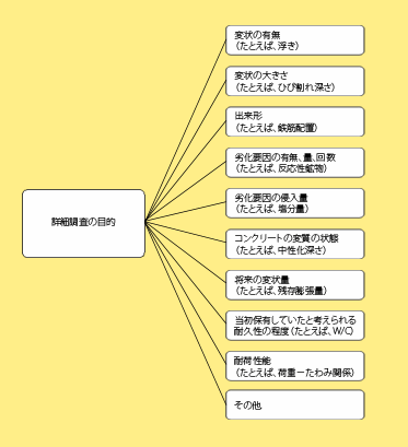 詳細調査の目的